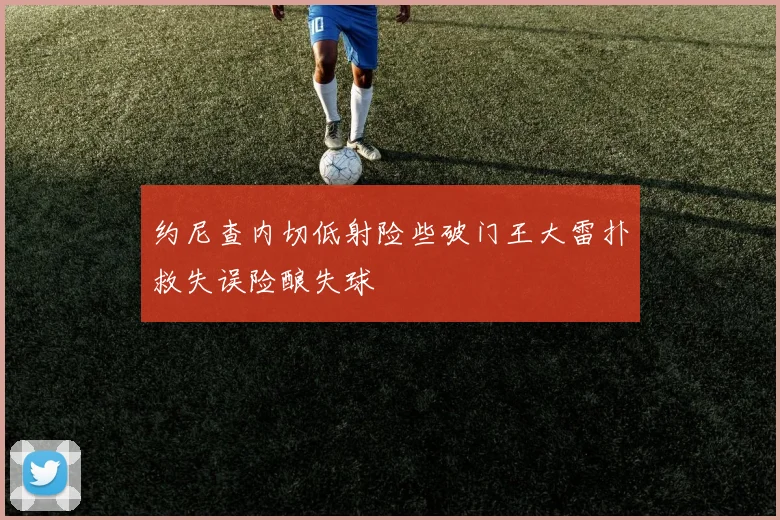 约尼查内切低射险些破门王大雷扑救失误险酿失球
