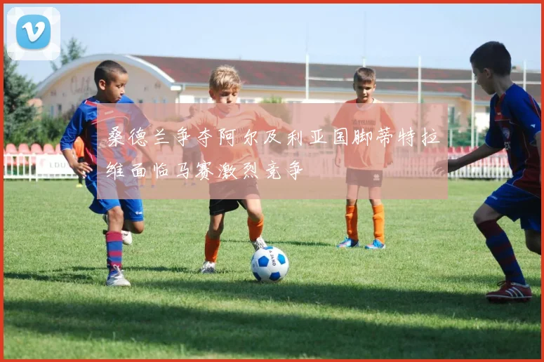 桑德兰争夺阿尔及利亚国脚蒂特拉维面临马赛激烈竞争